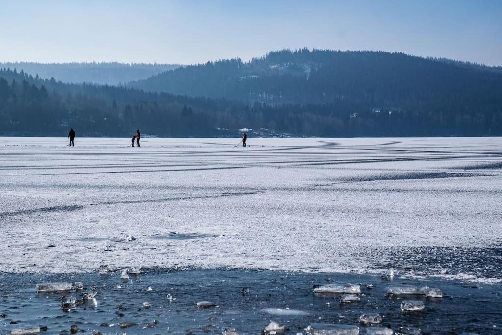 Private Cozy And Quiet Apartment Lipno nad Vltavou Zewnętrze zdjęcie