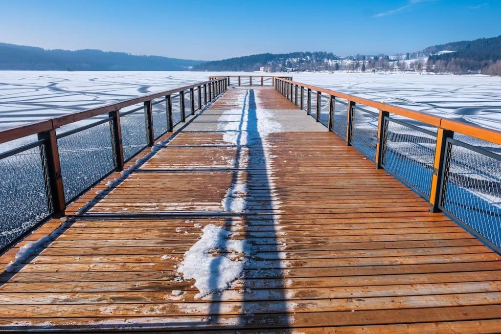 Private Cozy And Quiet Apartment Lipno nad Vltavou Zewnętrze zdjęcie